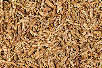 Image showing cumin seeds macro as background 