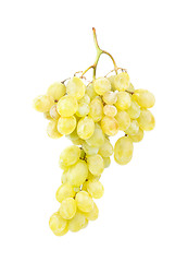 Image showing White grapes gsolated on white background 