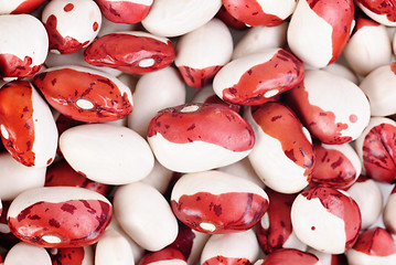 Image showing haricot beans macro background