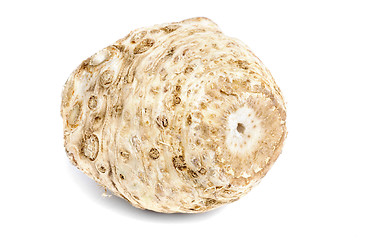 Image showing celery root  isolation  on white