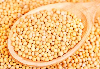 Image showing Mustard seeds in wooden spoon and over as background 