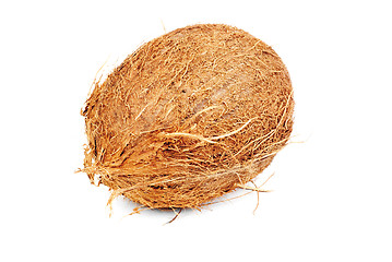 Image showing one coconut isolated on white 
