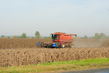 Image showing Harvesting of sunflower seeds with combine