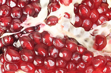 Image showing  pomegranate seeds   close-up image as  background