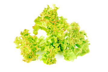 Image showing fresh salad isolated on  white