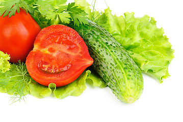 Image showing fresh vegetables (salad, cucumber, lettuce)  isolated  on  white