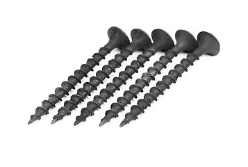Image showing black screws isolation on a white background 