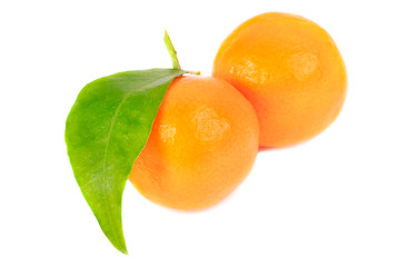 Image showing two mandarines isolation on white 