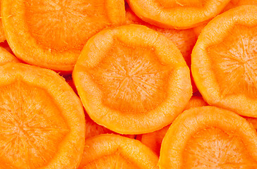 Image showing Carrot  sliced  as  food  background