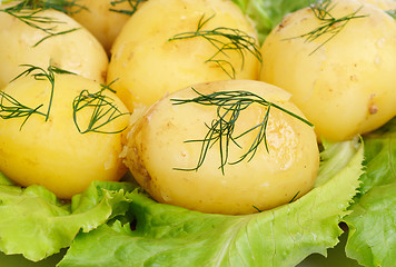 Image showing New potato  and green  salad  background