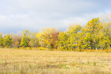 Image showing Beautiful autumn landscape