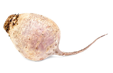 Image showing Beet purple vegetable isolated on white background 