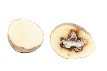 Image showing Potatoes infected with fungal disease