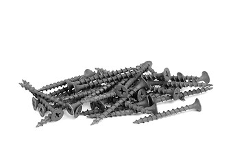 Image showing black screws  isolation on a white background 