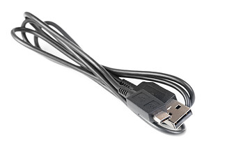 Image showing Black computer microusb cables on white background 