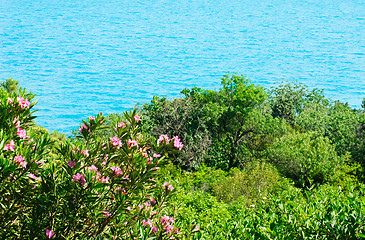 Image showing beautiful landscape -sea and sky in Vorontsov Palace, Crimea, Ukraine 