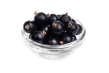 Image showing Fresh blackcurrant in glass bowl  isolated on  white