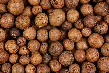 Image showing Background texture of whole allspice(jamaica pepper). Macro.