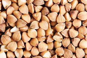 Image showing buckwheat  as food background