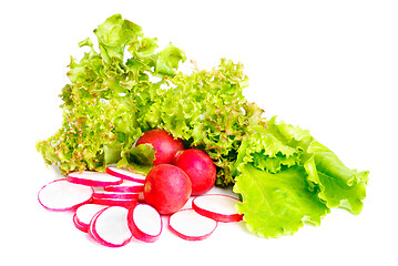 Image showing fresh salad , whole and  sliced radish  isolated on white 