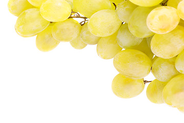 Image showing White grapes isolated on white background 