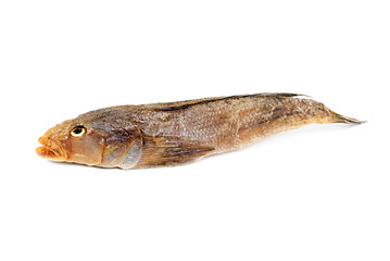 Image showing Dried bullhead (goby) isolated on white 