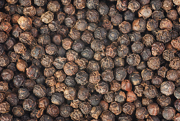 Image showing black pepper makro as food background 