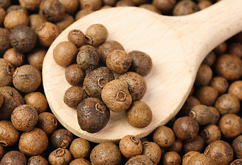 Image showing Background texture of whole allspice(jamaica pepper) with wooden  spoon Used as a spice in cuisines all over the world. Also used in medicine. 