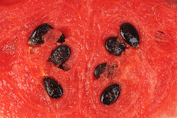 Image showing slice of watermelon as food background 