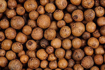 Image showing Background texture of whole allspice(jamaica pepper)  Used as a spice in cuisines all over the world. Also used in medicine.