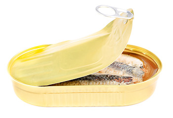 Image showing can of sardines in oil isolated on white 