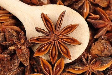 Image showing Fresh anise-star with  wooden  spoon, nature spice  background