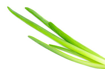 Image showing fresh green onions isolated on white 