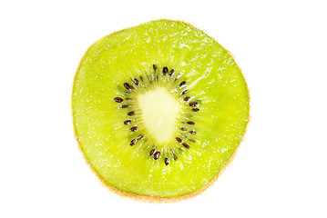 Image showing A single slice of kiwi fruit isotated on a white background 