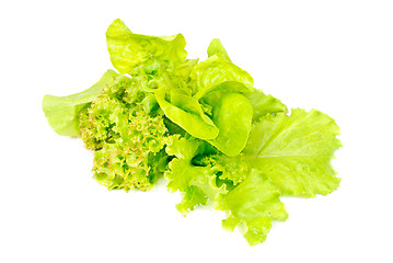 Image showing Mix fresh salad isolated on white background 