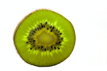 Image showing Kiwi