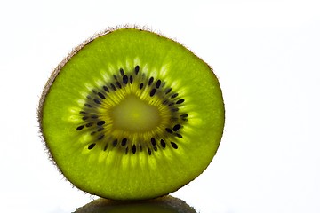 Image showing Kiwi