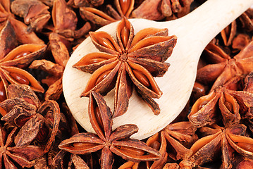 Image showing Fresh anise-star, nature spice background 