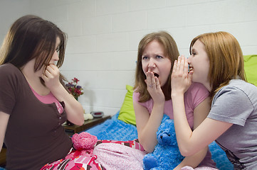 Image showing Slumber Party Gossip