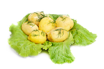 Image showing New potato  and green  salad  isolated  on  white background 