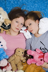 Image showing Stuffed Animals