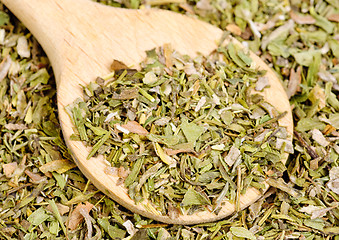 Image showing Dried  estragon spice  and wooden spoon  as  food  background