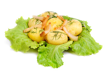 Image showing New potato  and green  salad  isolated  on  white background 