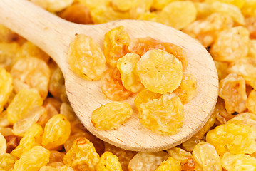 Image showing Golden raisins close- up and wooden spoon, food background 