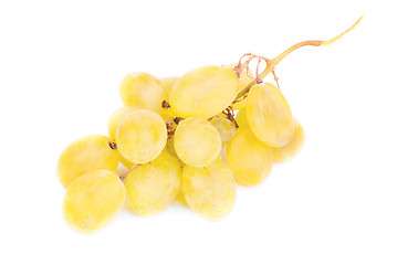Image showing White grapes isolated on white background 