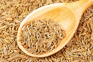Image showing cumin seeds macro and  wooden spoon as background 