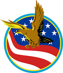 Image showing American Eagle Carry USA Flag Retro
