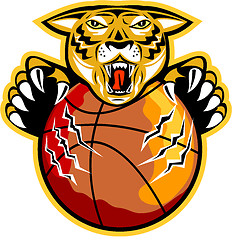 Image showing Tiger Basketball Ball Claws