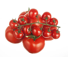 Image showing fresh red tomatoes