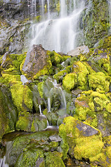 Image showing Green waterfall